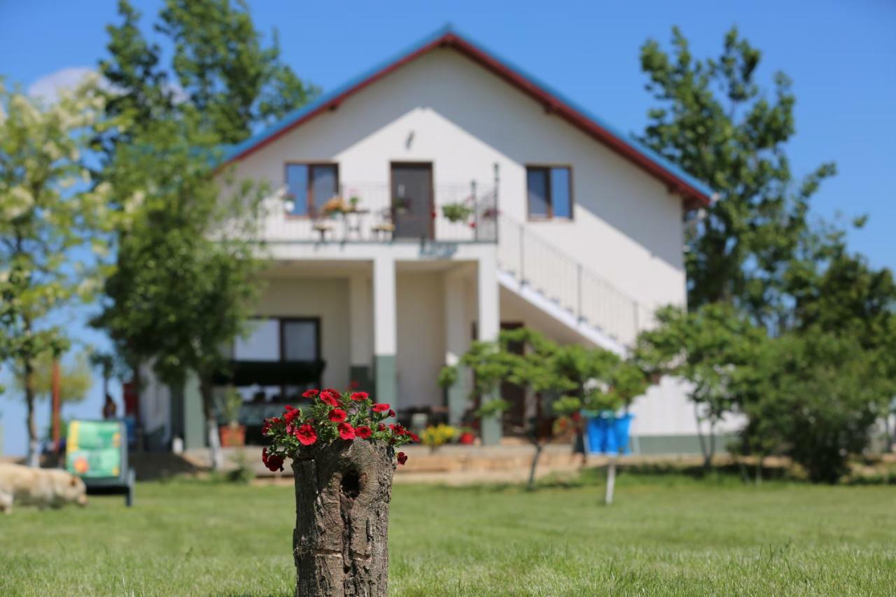 Pensiunea Palaghia Jurilovca Exterior photo